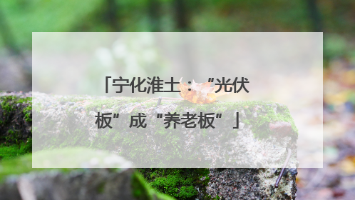 宁化淮土：“光伏板”成“养老板”
