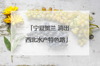 宁夏贺兰 淌出西北水产特色路