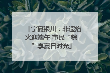宁夏银川：非遗焰火迎端午 市民“粽”享夏日时光