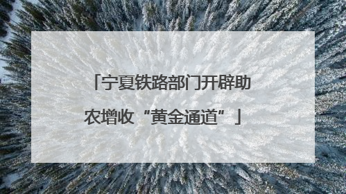 宁夏铁路部门开辟助农增收“黄金通道”