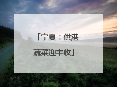 宁夏：供港蔬菜迎丰收