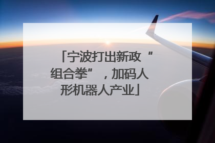 宁波打出新政“组合拳”，加码人形机器人产业