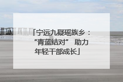 宁远九疑瑶族乡：“青蓝结对” 助力年轻干部成长
