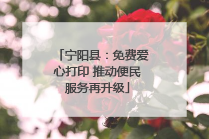 宁阳县：免费爱心打印 推动便民服务再升级