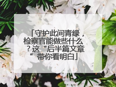 守护此间青绿，检察官能做些什么？这“后半篇文章”带你看明白