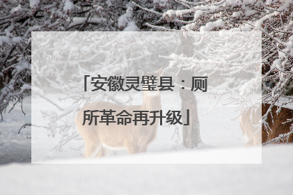 安徽灵璧县：厕所革命再升级