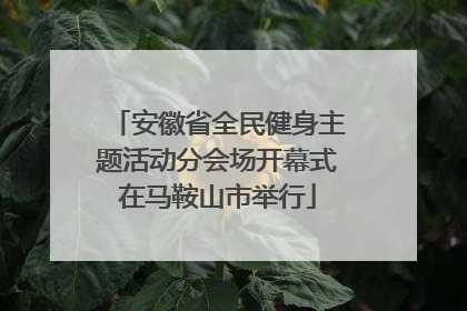 安徽省全民健身主题活动分会场开幕式在马鞍山市举行