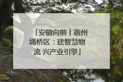 安徽向前丨宿州埇桥区：建智慧物流 兴产业引擎
