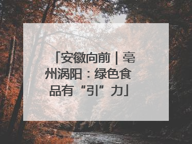 安徽向前｜亳州涡阳：绿色食品有“引”力