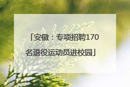 安徽：专项招聘170名退役运动员进校园