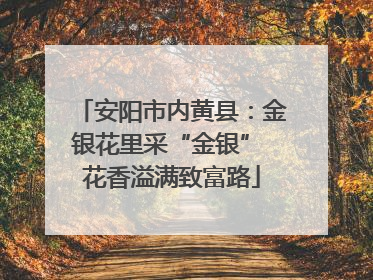 安阳市内黄县：金银花里采“金银” 花香溢满致富路