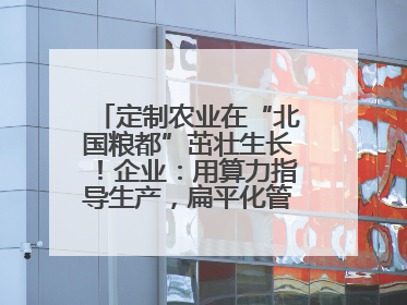 定制农业在“北国粮都”茁壮生长！企业：用算力指导生产，扁平化管理种地