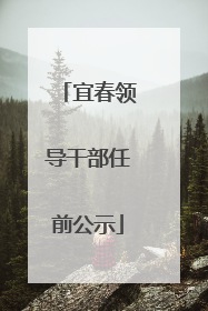 宜春领导干部任前公示