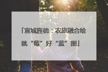 宣城旌德：农旅融合绘就“莓”好“蓝”图