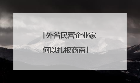外省民营企业家何以扎根商南