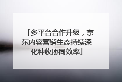 多平台合作升级，京东内容营销生态持续深化种收协同效率