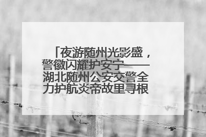 夜游随州光影盛，警徽闪耀护安宁——湖北随州公安交警全力护航炎帝故里寻根节夜游活动侧记