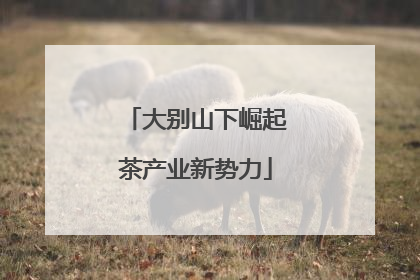大别山下崛起茶产业新势力