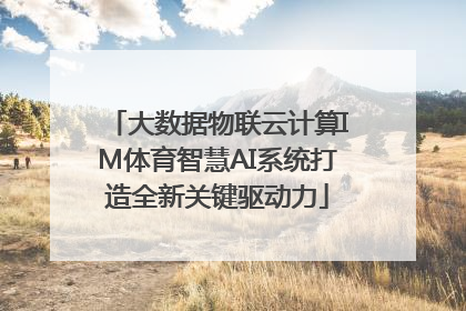 大数据物联云计算IM体育智慧AI系统打造全新关键驱动力