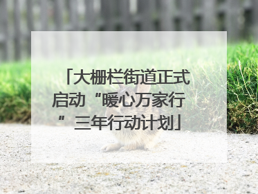 大栅栏街道正式启动“暖心万家行”三年行动计划