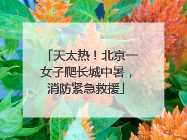 天太热！北京一女子爬长城中暑，消防紧急救援