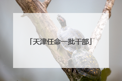 天津任命一批干部