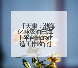 天津：渤海亿吨级油田海上平台陆地建造工作收官