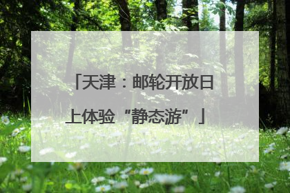 天津：邮轮开放日上体验“静态游”