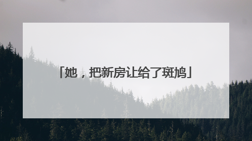 她，把新房让给了斑鸠