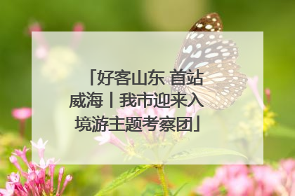 好客山东 首站威海丨我市迎来入境游主题考察团