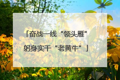 奋战一线“领头雁” 躬身实干“老黄牛”