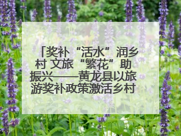 奖补“活水”润乡村 文旅“繁花”助振兴——黄龙县以旅游奖补政策激活乡村振兴新动能