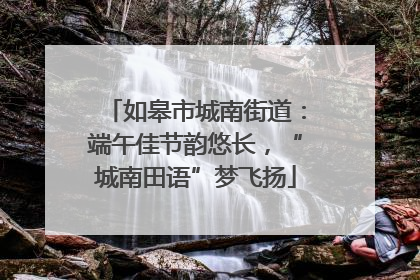 如皋市城南街道：端午佳节韵悠长，“城南田语”梦飞扬