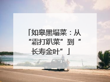 如皋黑塌菜：从“霜打趴菜”到“长寿金叶”