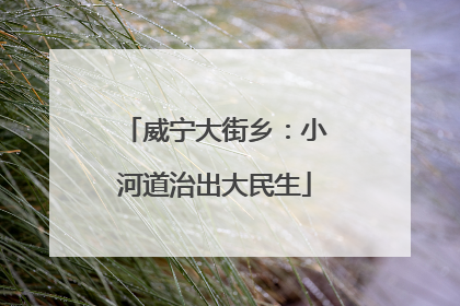 威宁大街乡：小河道治出大民生
