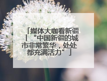 媒体大咖看新疆丨“中国新疆的城市非常繁华，处处都充满活力”