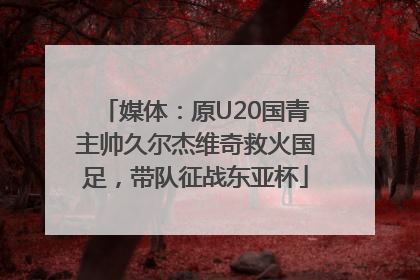 媒体：原U20国青主帅久尔杰维奇救火国足，带队征战东亚杯
