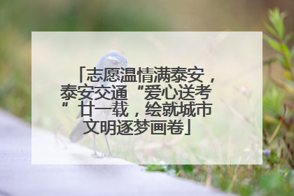 志愿温情满泰安，泰安交通“爱心送考”廿一载，绘就城市文明逐梦画卷