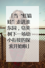 当“虹猫娃”走进淮东园，皂荚树下一场幼小衔接的探索开始啦