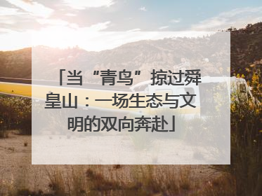 当“青鸟”掠过舜皇山：一场生态与文明的双向奔赴