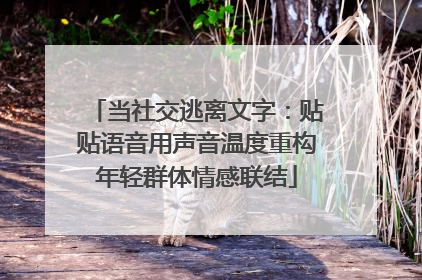 当社交逃离文字：贴贴语音用声音温度重构年轻群体情感联结