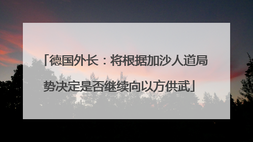 德国外长：将根据加沙人道局势决定是否继续向以方供武
