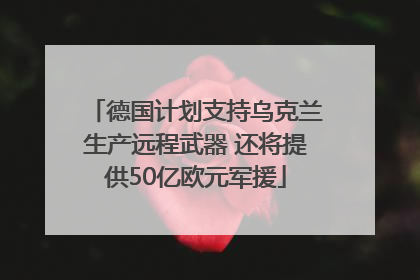 德国计划支持乌克兰生产远程武器 还将提供50亿欧元军援