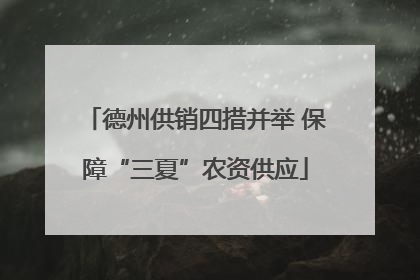 德州供销四措并举 保障“三夏”农资供应