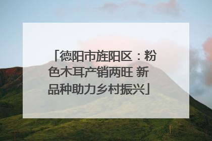德阳市旌阳区：粉色木耳产销两旺 新品种助力乡村振兴