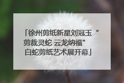 徐州剪纸新星刘冠玉“剪裁灵蛇 云龙纳福” 白蛇剪纸艺术展开幕