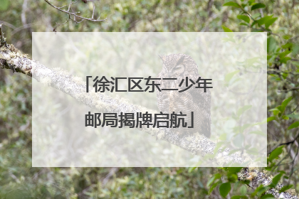 徐汇区东二少年邮局揭牌启航