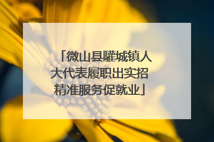 微山县驩城镇人大代表履职出实招精准服务促就业