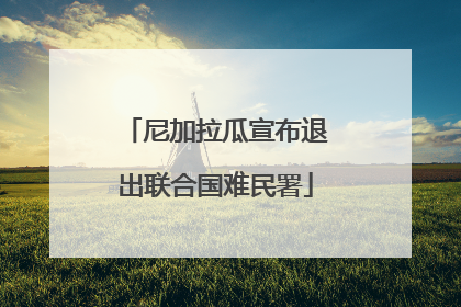 尼加拉瓜宣布退出联合国难民署