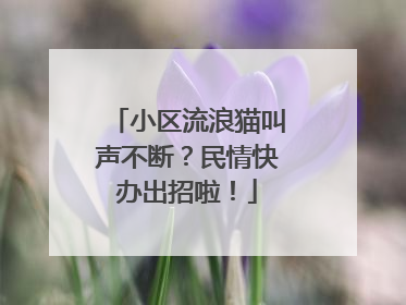 小区流浪猫叫声不断？民情快办出招啦！